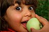 Основы питания детей раннего и дошкольного возраста