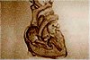 Кардиология: Оценка Пальпации Сердца