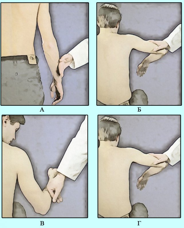 Подвижность плечевого сустава