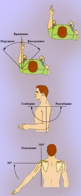 Подвижность плечевого сустава